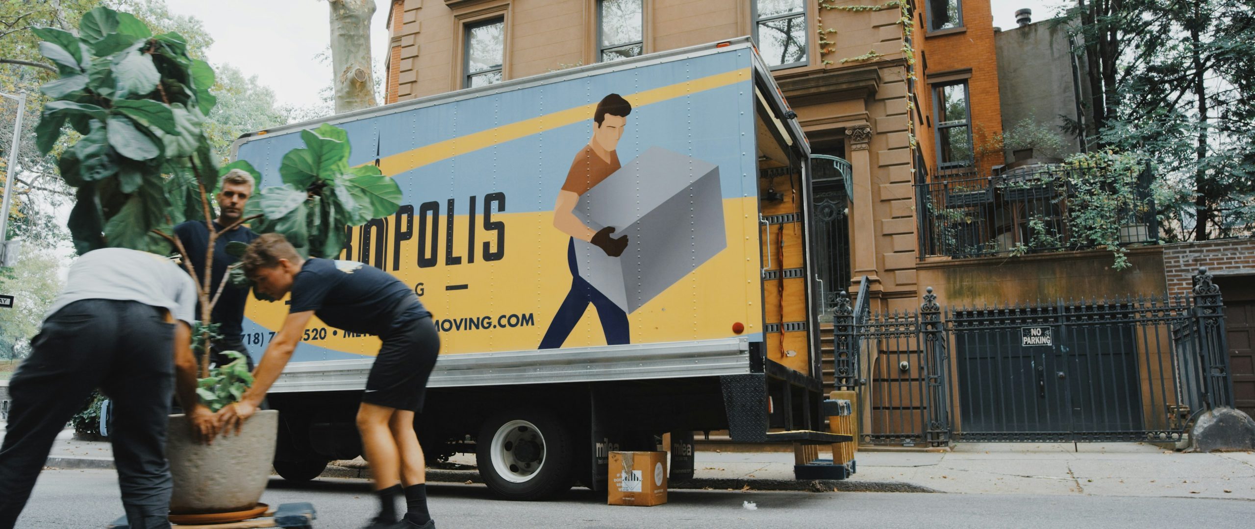 professional movers